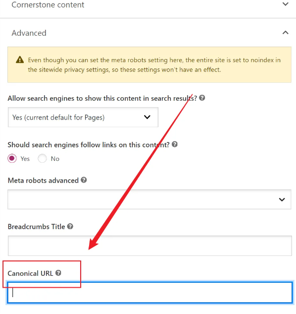 2024最全面的谷歌SEO指南是什么?